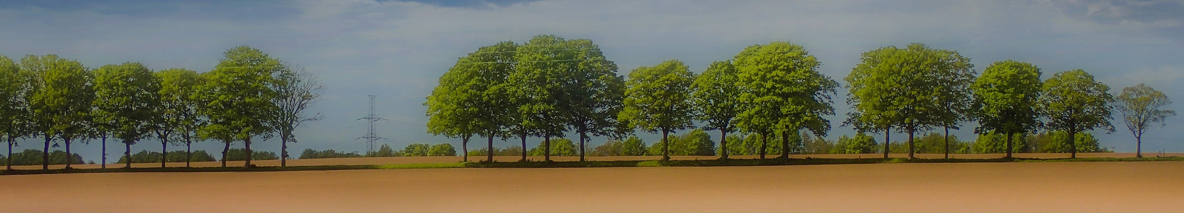 aquittement de sogesa, etienne de dorlodot 8 décembre 2025