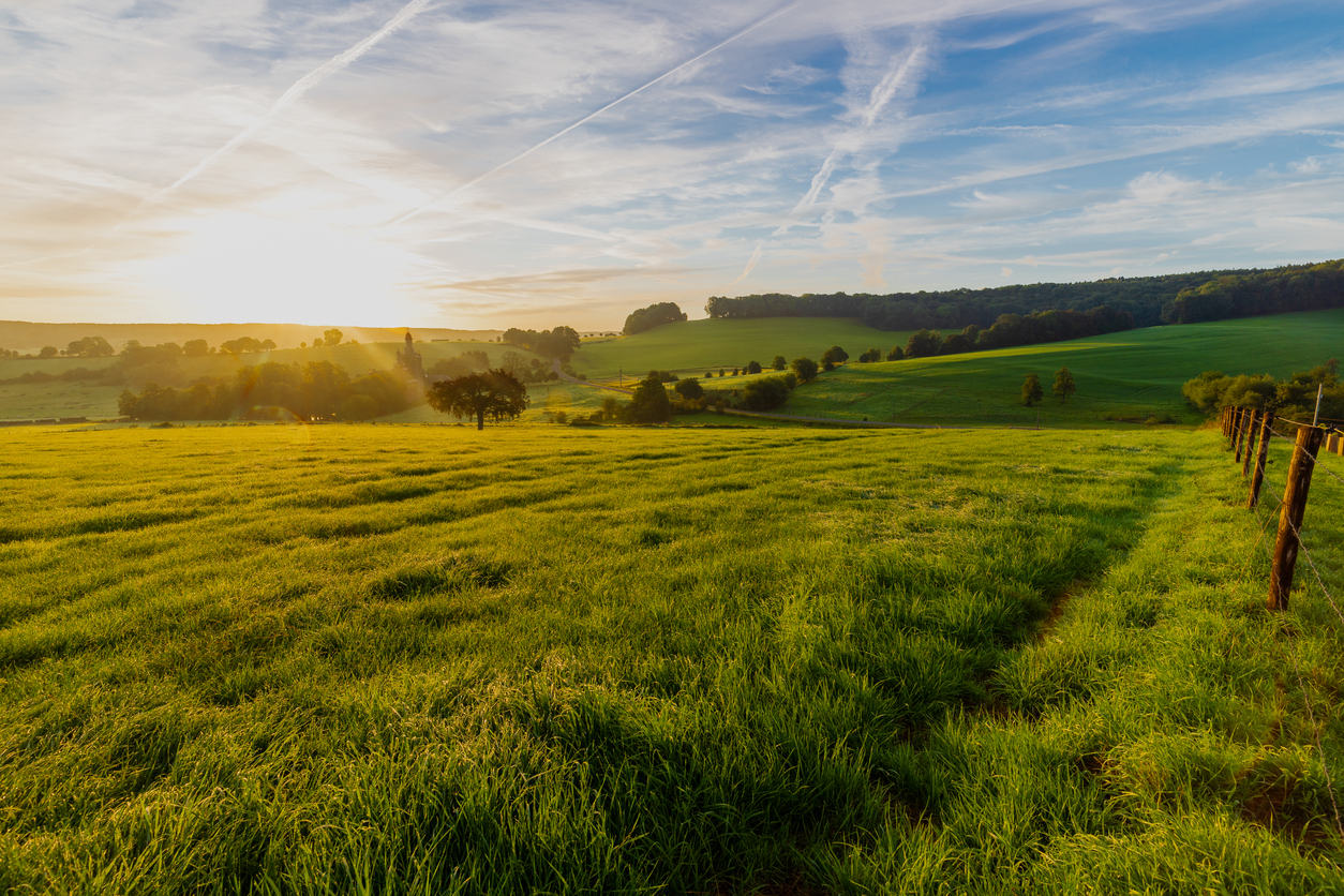 Conseil projet agricole